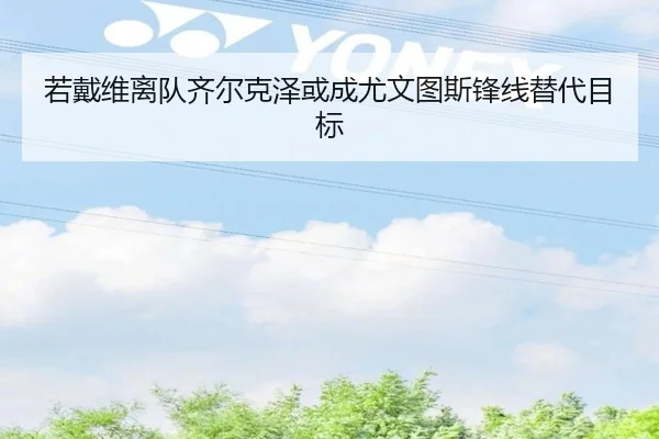 若戴维离队齐尔克泽或成尤文图斯锋线替代目标（KaiyunSports）